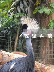 家里人信用卡逾期，對(duì)親人有何影響？解決方法與建議